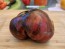 Tomato 'Marsha's Starfighter' Seeds (Certified Organic)