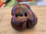 Tomato 'Marsha's Starfighter' Seeds (Certified Organic)