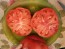 Dwarf Tomato 'Strawberry Lemonade' Seeds (Certified Organic)