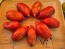 Tomato 'Bella' Seeds (Certified Organic)