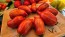 Tomato 'Bella' Seeds (Certified Organic)