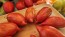 Tomato 'Bella' Seeds (Certified Organic)