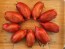 Tomato 'Bella' Seeds (Certified Organic)