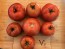 Tomato 'Roman Red' Seeds (Certified Organic)