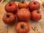 Tomato 'Roman Red' Seeds (Certified Organic)
