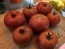 Tomato 'Roman Red' Seeds (Certified Organic)