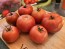 Tomato 'Roman Red' Seeds (Certified Organic)