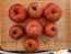 Tomato 'Roman Red' Seeds (Certified Organic)