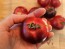 Tomato 'Blue Smoke' Seeds (Certified Organic)