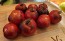 Tomato 'Blue Smoke' Seeds (Certified Organic)
