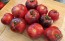 Tomato 'Blue Smoke' Seeds (Certified Organic)