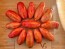 Tomato 'Bella' Seeds (Certified Organic)