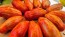 Tomato 'Yellow Tulip' Seeds (Certified Organic)