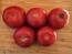 Tomato 'Bola Macizo' Seeds (Certified Organic)