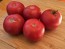 Tomato 'Bola Macizo' Seeds (Certified Organic)