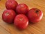 Tomato 'Bola Macizo' Seeds (Certified Organic)