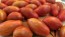 Tomato 'Prairie Fire' Seeds (Certified Organic)