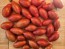 Tomato 'Prairie Fire' Seeds (Certified Organic)