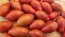 Tomato 'Prairie Fire' Seeds (Certified Organic)