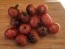 Tomato 'Dancing with Smurfs' Seeds (Certified Organic)