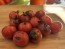 Tomato 'Dancing with Smurfs' Seeds (Certified Organic)