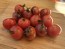 Tomato 'Dancing with Smurfs' Seeds (Certified Organic)
