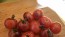 Tomato 'Dancing with Smurfs' Seeds (Certified Organic)