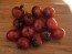 Tomato 'Dancing with Smurfs' Seeds (Certified Organic)