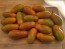 Tomato 'Sun Dipper F2' Seeds (Certified Organic)