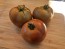 Dwarf Tomato 'Bundaberg Rumball' Seeds (Certified Organic)