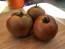 Dwarf Tomato 'Bundaberg Rumball' Seeds (Certified Organic)