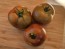 Dwarf Tomato 'Bundaberg Rumball' Seeds (Certified Organic)