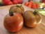 Dwarf Tomato 'Bundaberg Rumball' Seeds (Certified Organic)