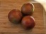 Dwarf Tomato 'Bundaberg Rumball' Seeds (Certified Organic)