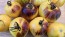 Tomato 'Ussuri Tiger' Seeds (Certified Organic)