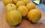 Tomato 'Ussuri Tiger' Seeds (Certified Organic)