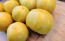 Tomato 'Ussuri Tiger' Seeds (Certified Organic)