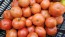 Tomato 'Big Beef' Seeds (Certified Organic)