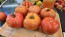 Tomato 'Big Beef' Seeds (Certified Organic)