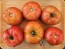 Tomato 'Big Beef' Seeds (Certified Organic)