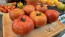 Tomato 'Big Beef' Seeds (Certified Organic)