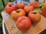 Tomato 'Big Beef' Seeds (Certified Organic)