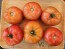 Tomato 'Big Beef' Seeds (Certified Organic)