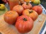 Tomato 'Big Beef' Seeds (Certified Organic)