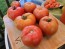 Tomato 'Big Beef' Seeds (Certified Organic)