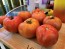 Tomato 'Big Beef' Seeds (Certified Organic)