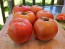 Tomato 'Big Beef' Seeds (Certified Organic)