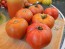 Tomato 'Big Beef' Seeds (Certified Organic)