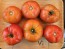 Tomato 'Big Beef' Seeds (Certified Organic)