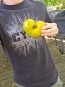 Tomato 'Plan 9 From Outer Space' Seeds (Certified Organic)
